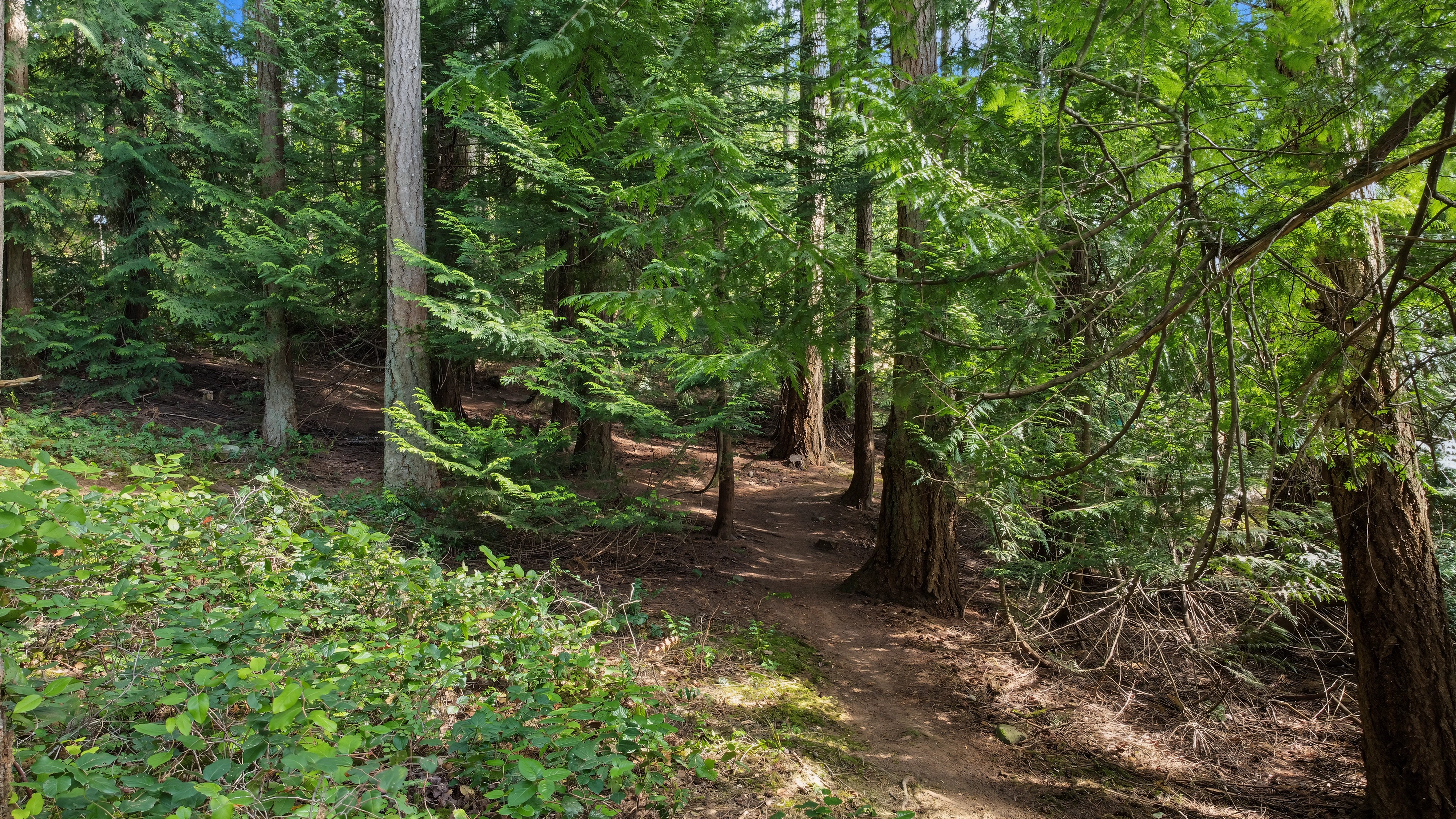 6147 Old West Saanich Road – photo 03