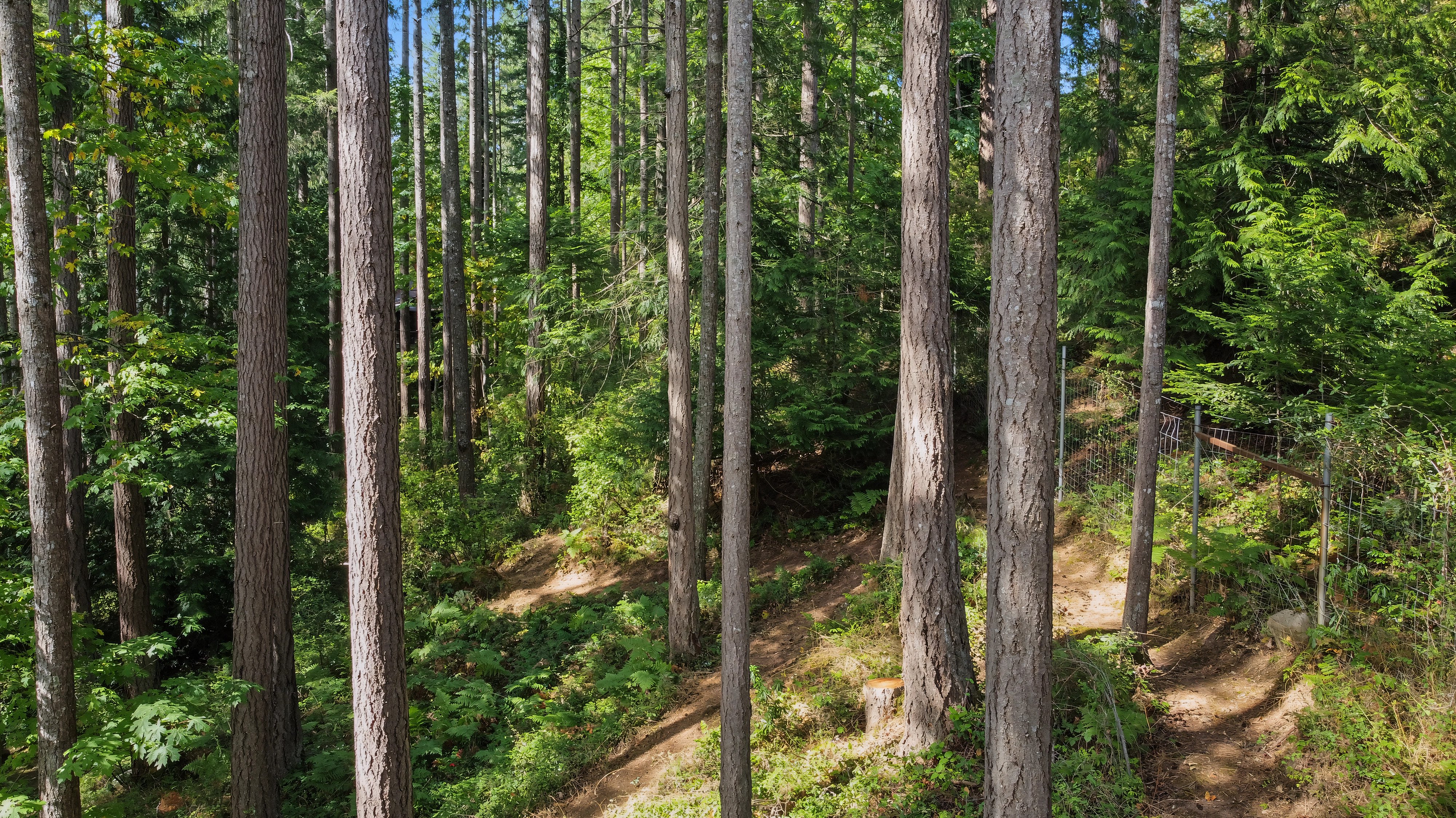 6147 Old West Saanich Road – photo 06