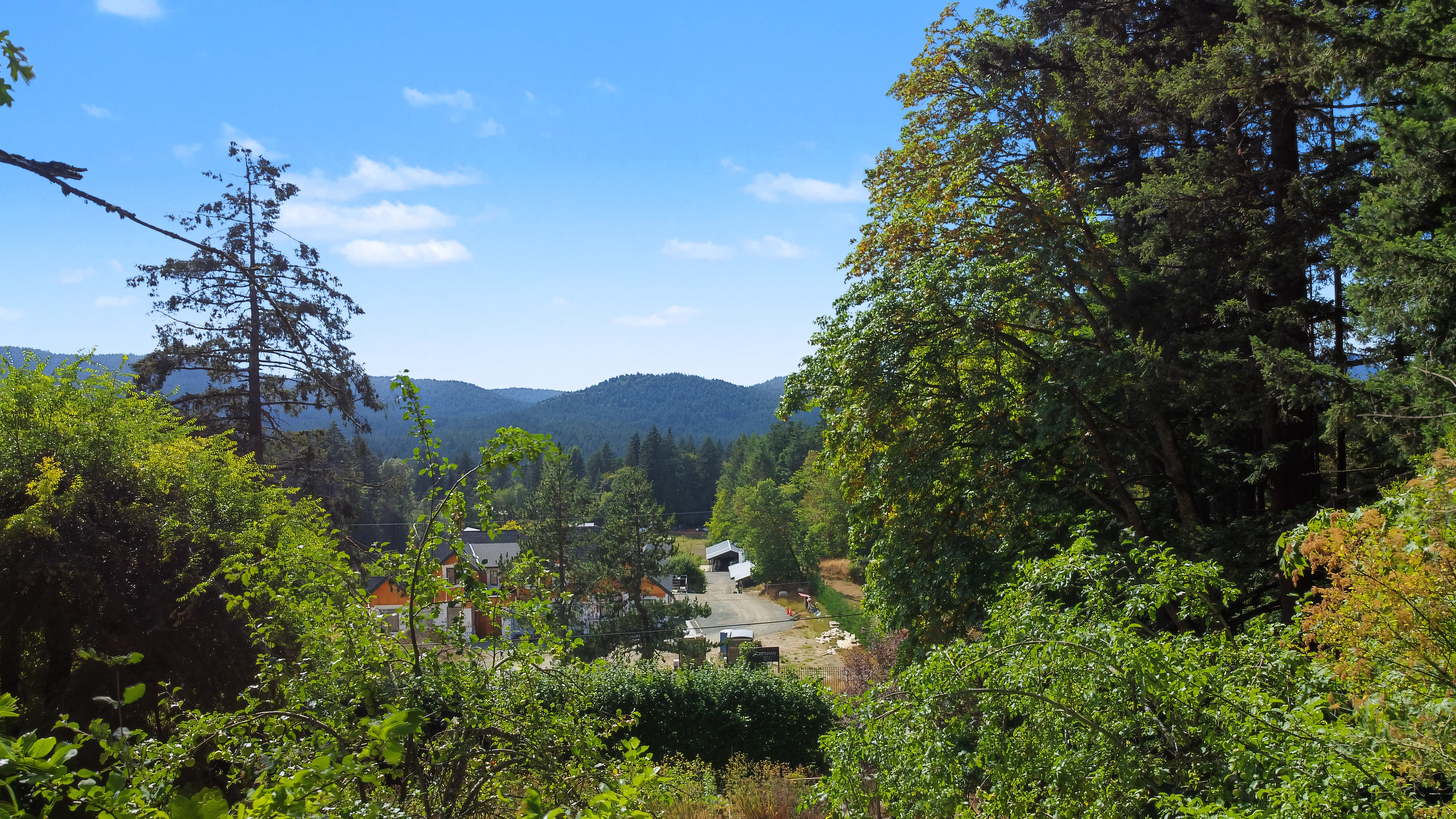 6147 Old West Saanich Road – photo 07