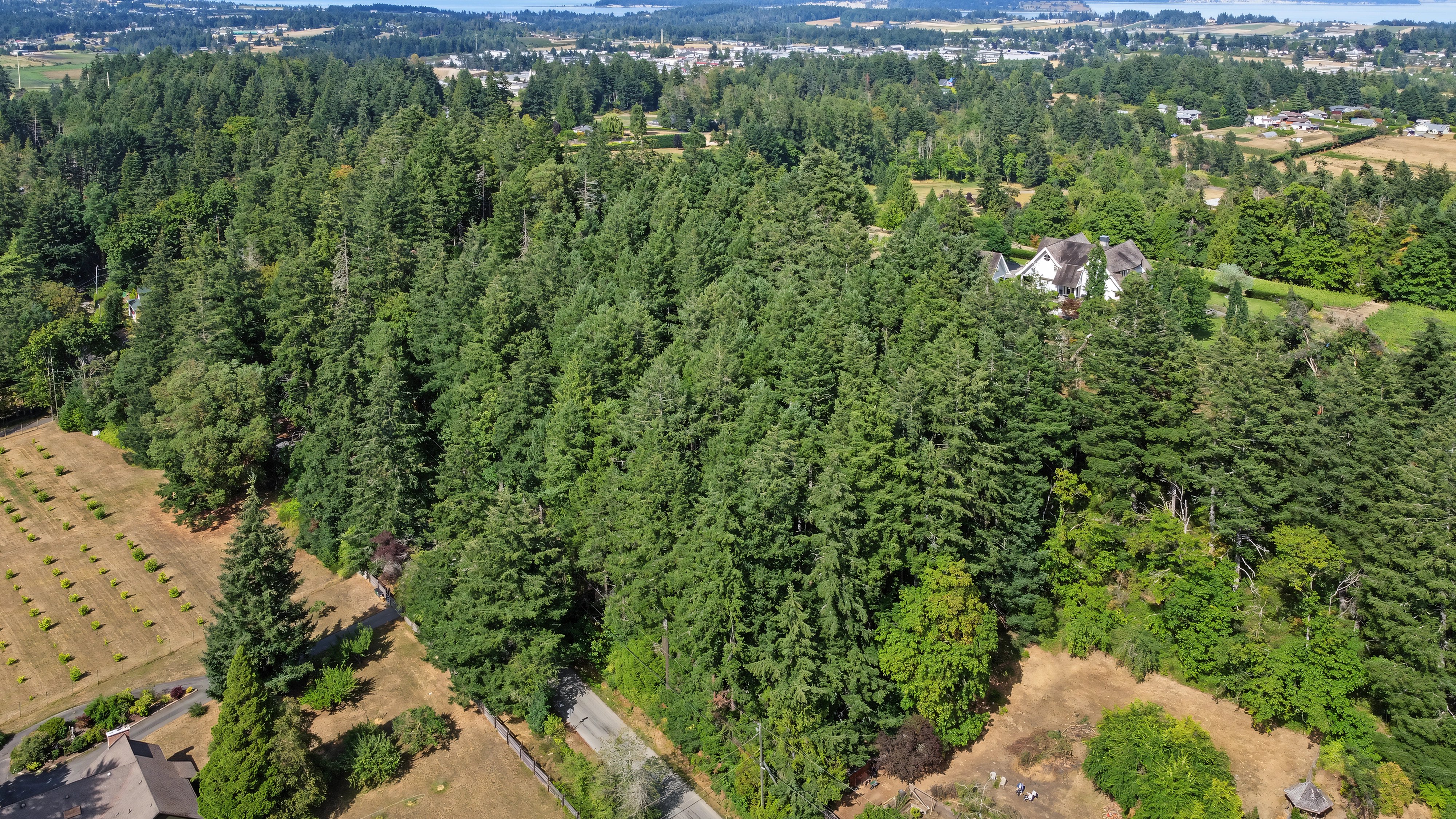 6147 Old West Saanich Road – photo 08