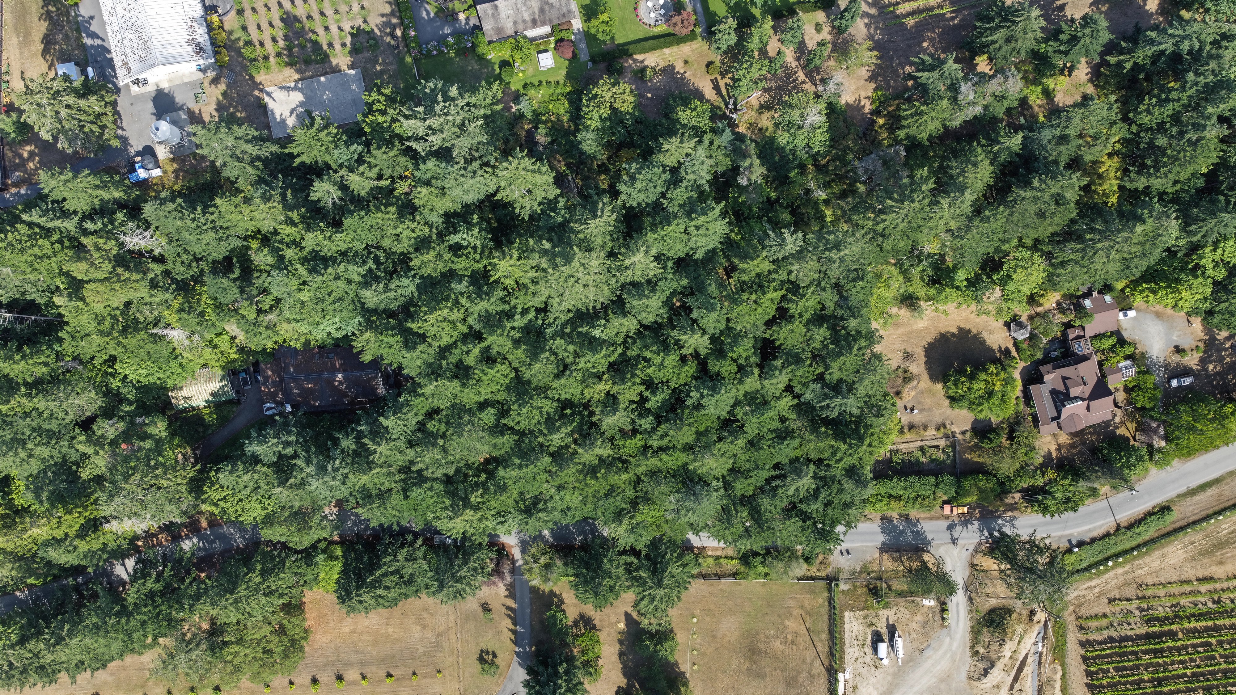6147 Old West Saanich Road – photo 09